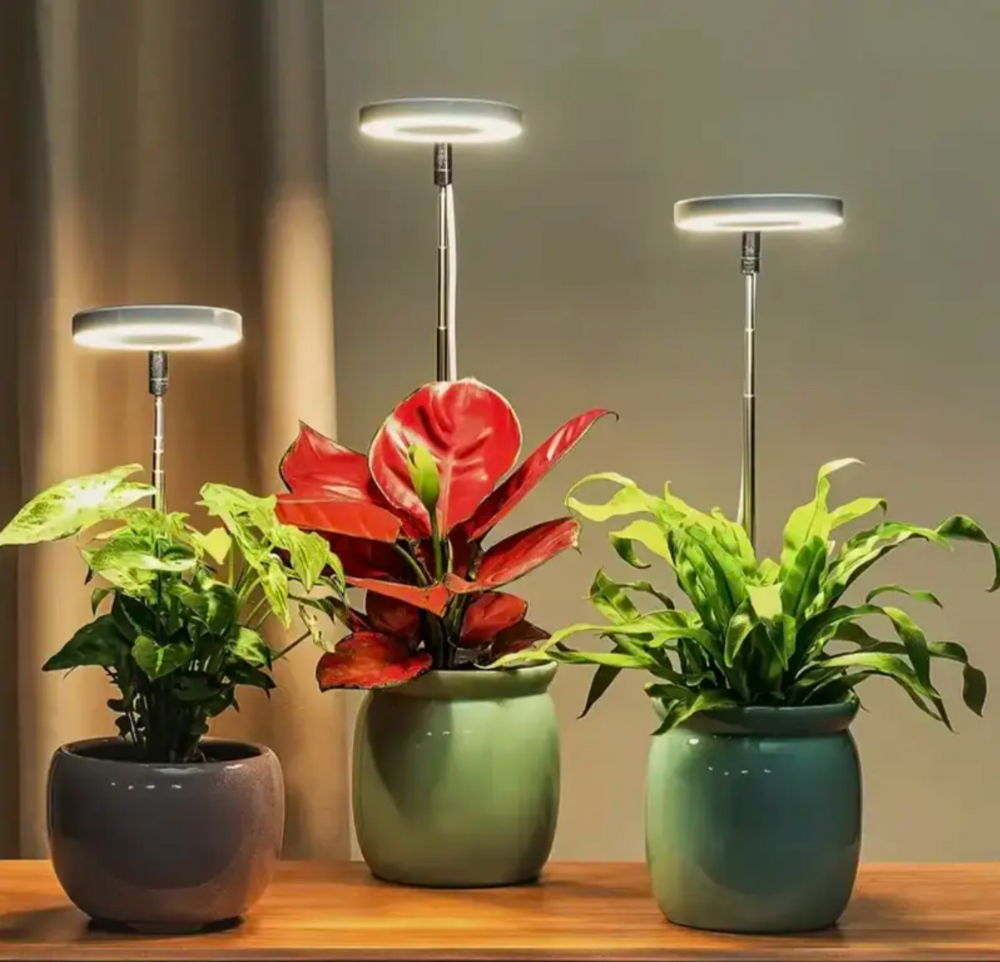 Full Spectrum Plantenlamp