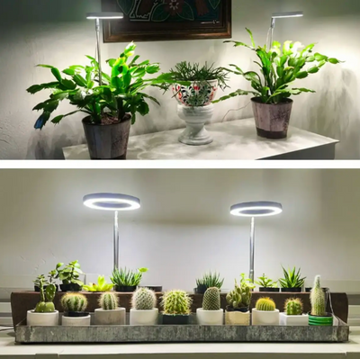 Full Spectrum Plantenlamp
