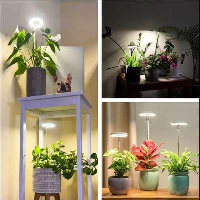 Full Spectrum Plantenlamp