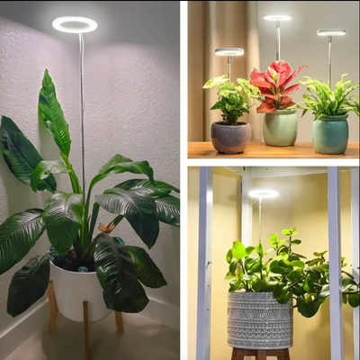 Full Spectrum Plantenlamp