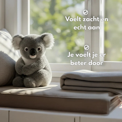 Helende Koala-pop｜Geef jezelf een zachte knuffel🌿