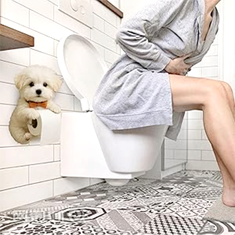 Hond Toiletrolhouder | Schattige blikvanger voor je badkamer